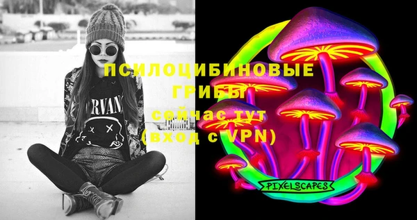 бошки Алексеевка