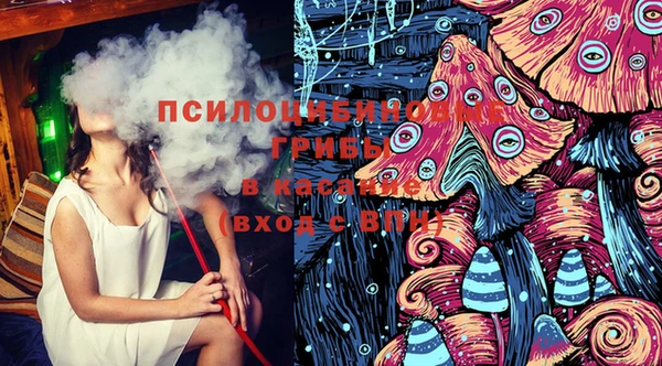 бошки Алексеевка